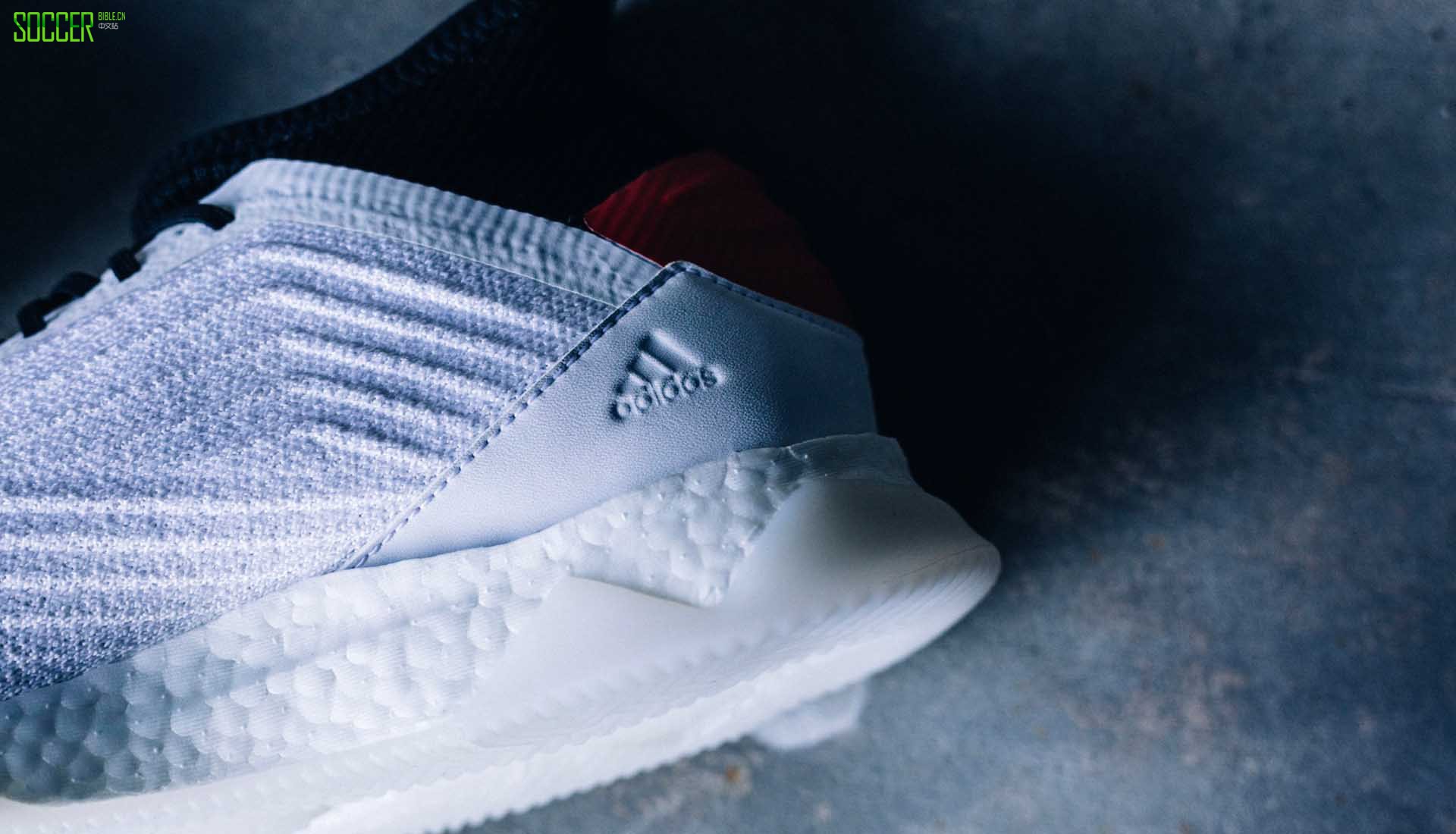 闃胯开杈炬柉predator19.2,闃胯开杈炬柉predator19.1tr