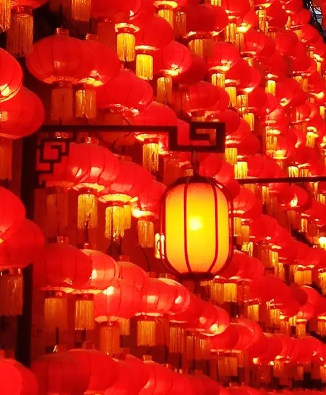 太原银杏林网红打卡地,太原网红打卡地景点