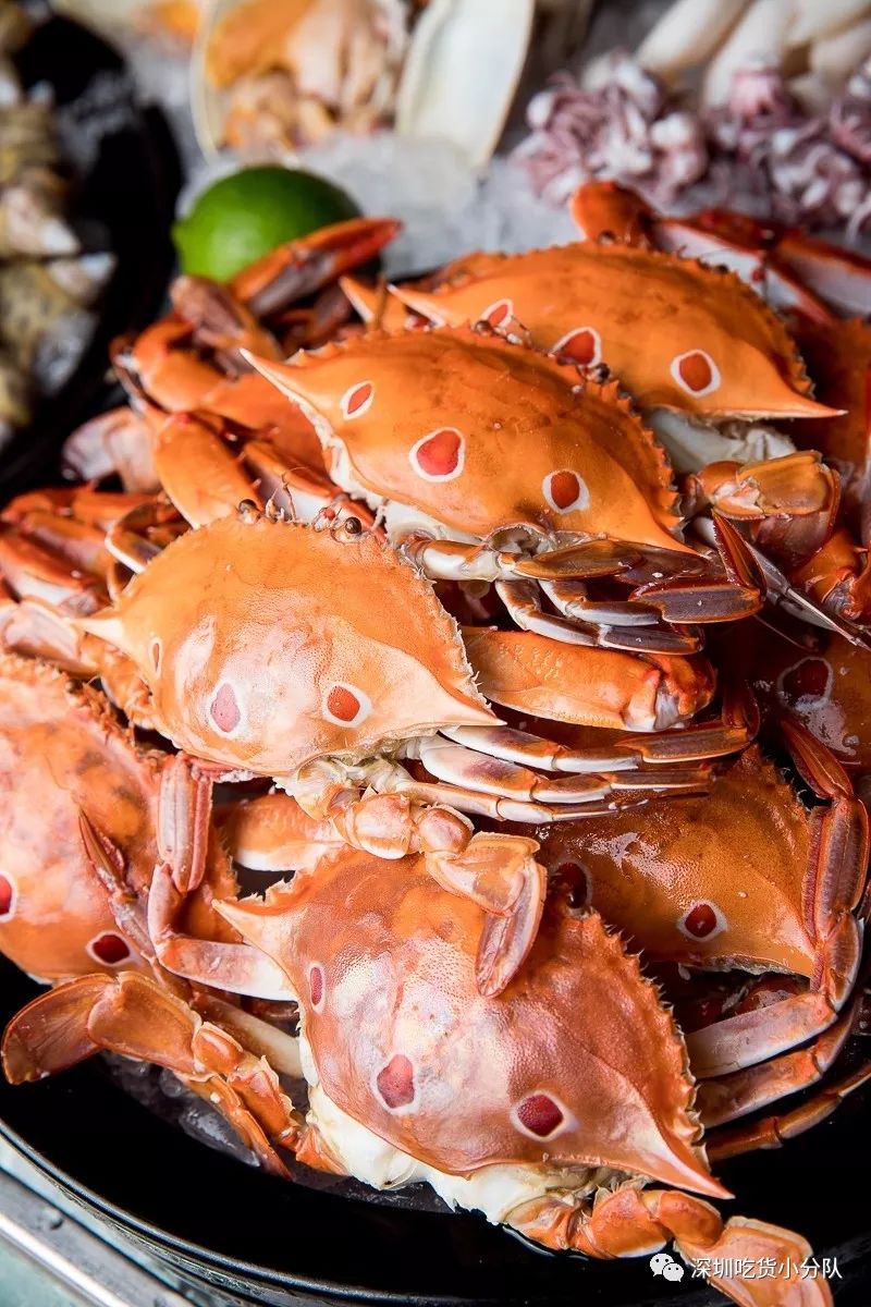 大中华喜来登酒店自助餐直播,大中华喜来登23楼自助餐团购