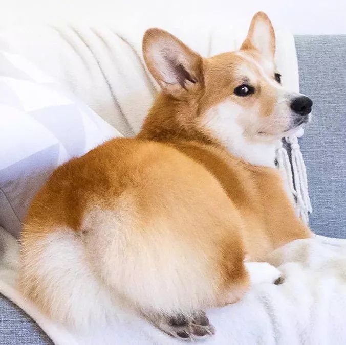 朋友圈设成三天可见代表着什么,有时候把朋友圈设成三天可见