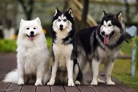 把我设置成不可见了是什么心态,为什么有人把朋友圈设成三天可见