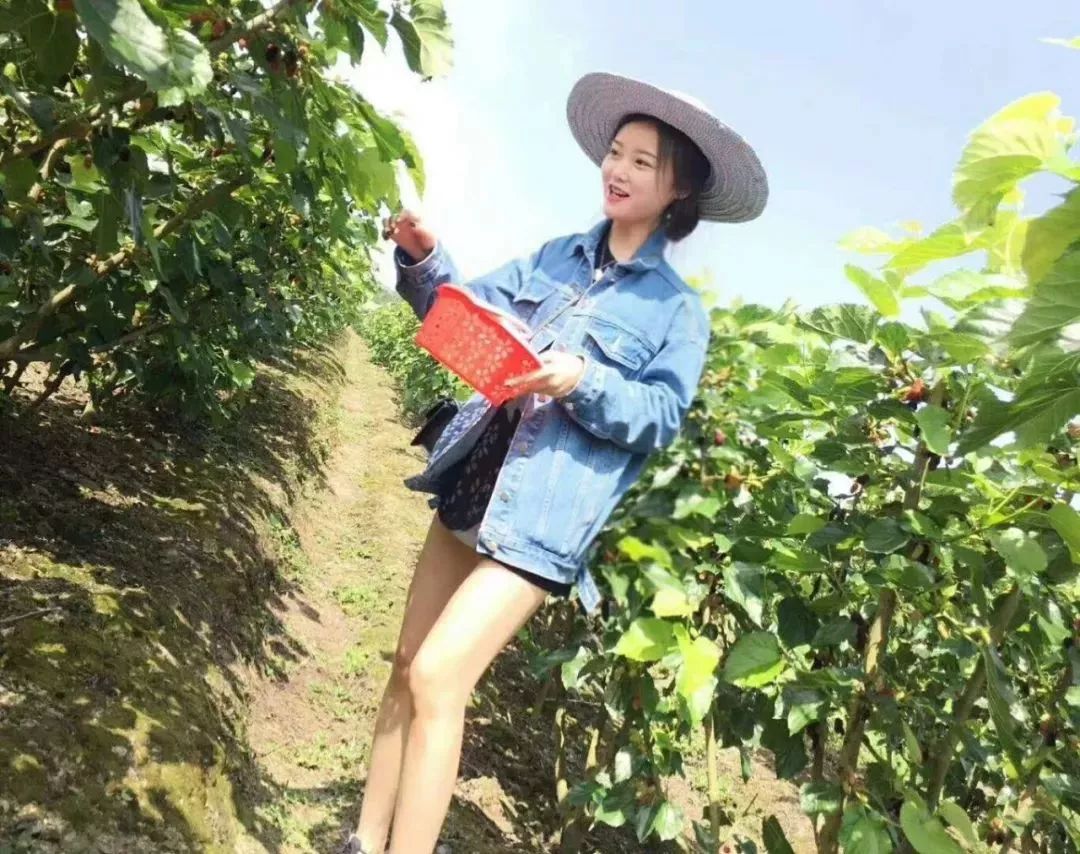 AreYouReady~~~第六届桑果紫酒节火爆来袭！采桑葚，赏演出，如此“葚”好！