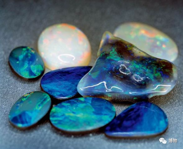 脑子进水了后悔不,脑子进水了掉井里