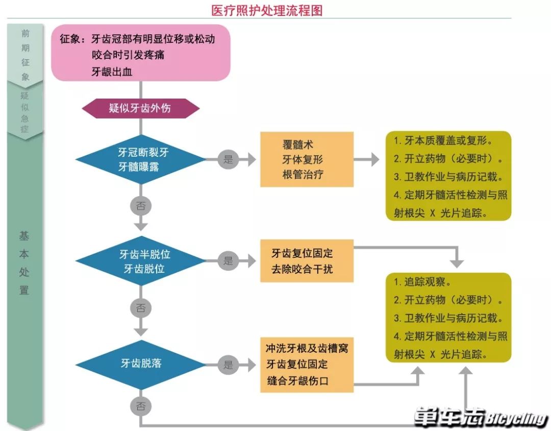骑车摔伤牙齿松动怎么办,骑车磕到牙齿怎么办