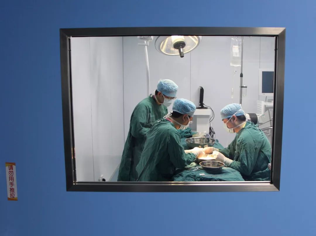 男孩吃了两勺这个菜，抢救了两周！什么菜啊？