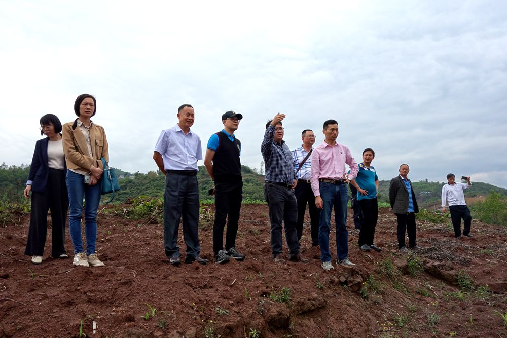 中山市华盟农业科技有限公司,中山市产业落地政策