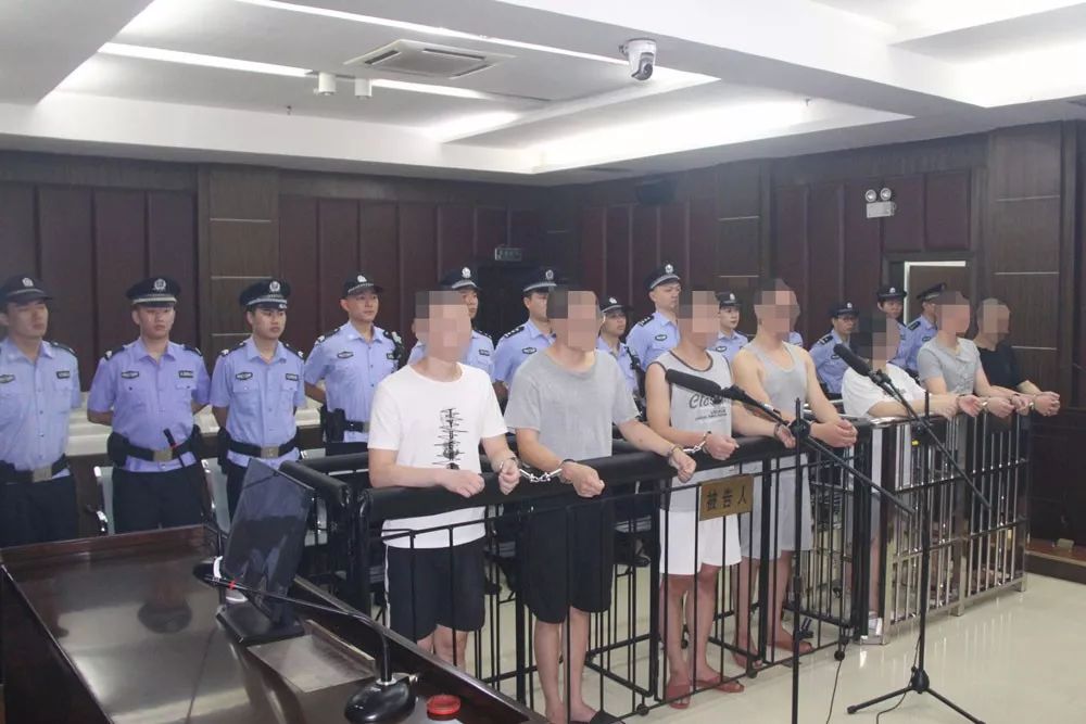 90后养鸡被判刑,养鸡专业户被判刑