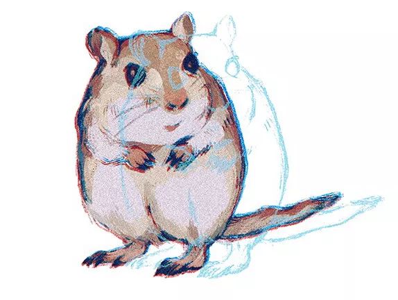 数亿色盲者的希望，可能在这只“超能力猴”身上