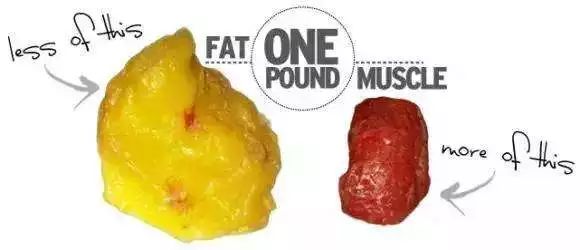 日本“吸油圣斗士”,1天1条,7天瘦出小蛮腰!酸酸甜甜,比果冻还好吃