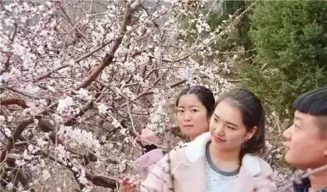 本周末，主播秋雨、大雄带你畅游王屋山、五龙口，只剩10个自驾名额，欲报从速！