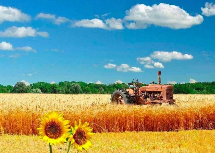 轨交机场联络线、越江隧道、中运量公交……魔都下半年又要开挂了！