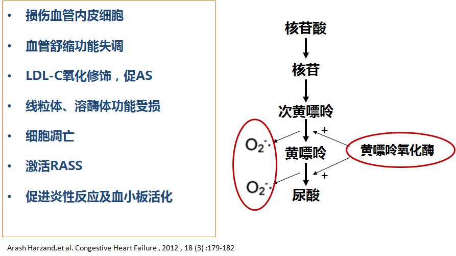 心衰肾衰伴高尿酸怎么治疗,心衰引起的肌酐和尿酸高怎么办
