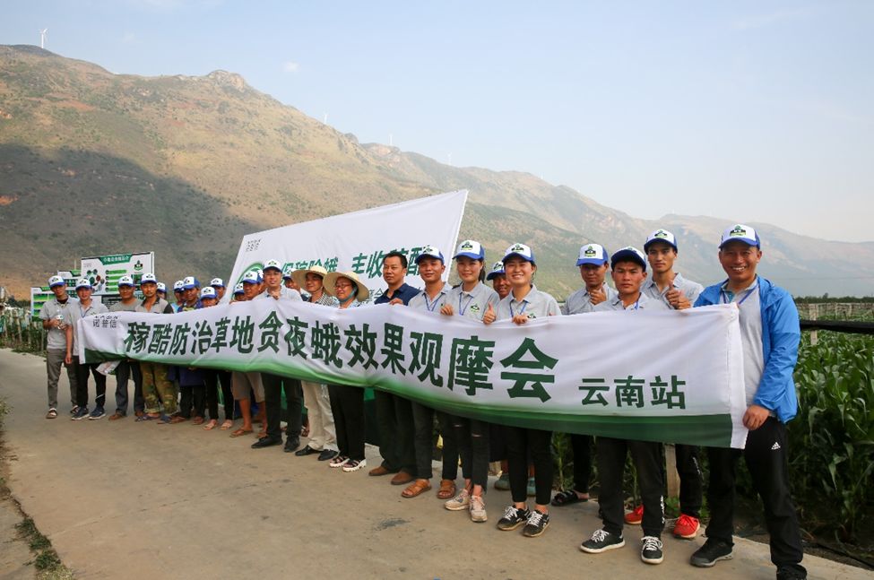 草地贪夜蛾入侵河北,草地贪夜蛾灾情