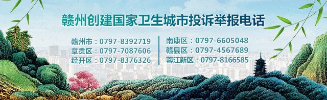 赣州入选大湾区,赣州国家专项名单