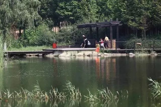 玩转大连森林公园,逛遍大连森林公园