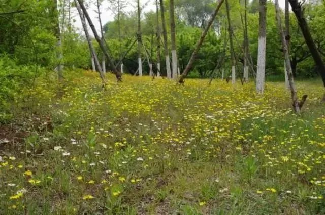 玩转大连森林公园,逛遍大连森林公园