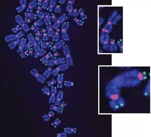 每日医健大事——2019年5月18日