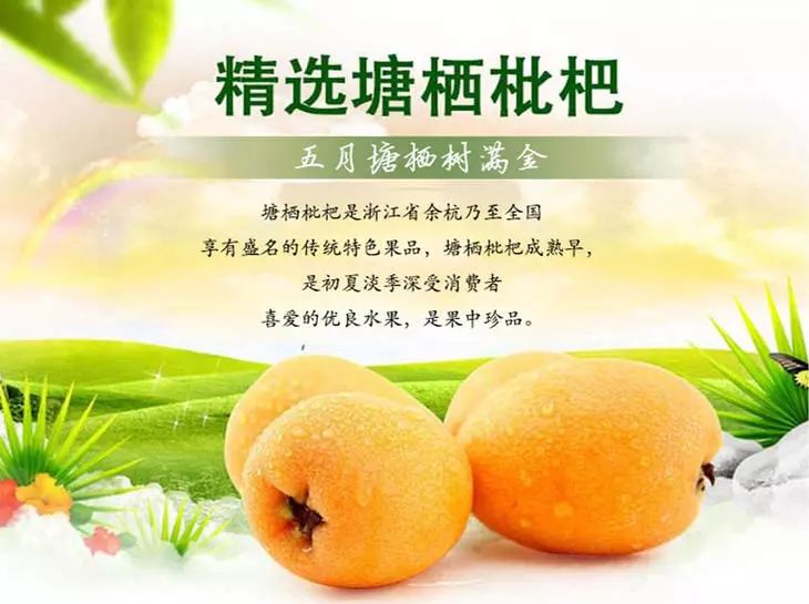 皮薄鲜甜多汁！去年卖爆的塘栖枇杷又来了，顺丰到家！