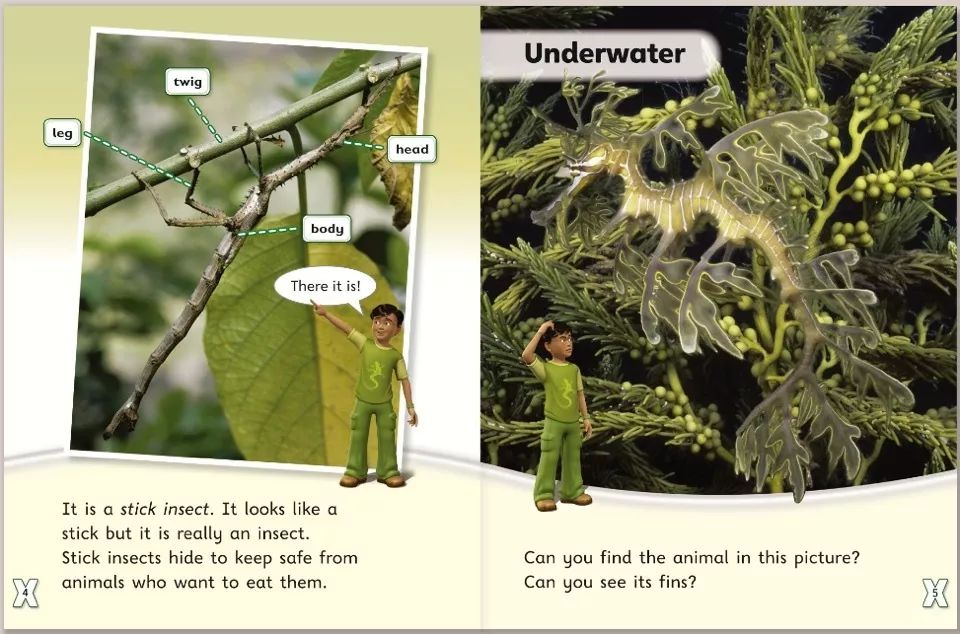 牛津阅读电子图书馆,牛津图书馆中文书籍
