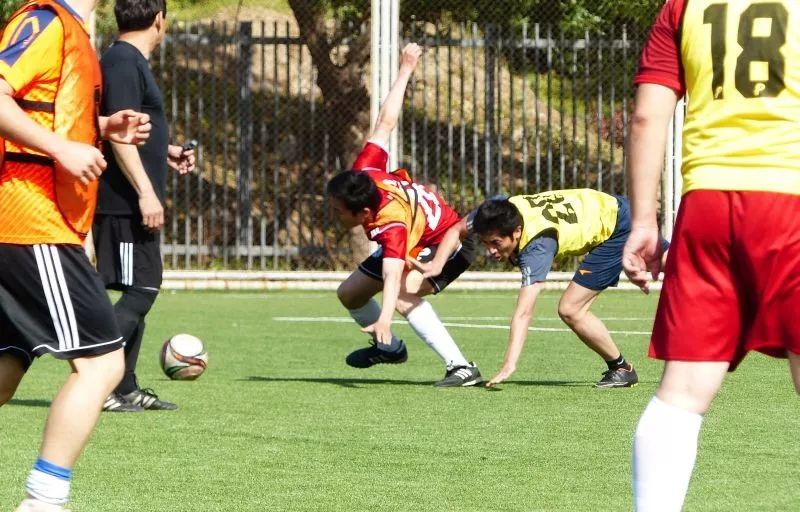 北京101中著名校友,北京101中校友