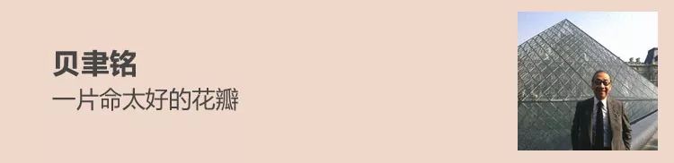 切尔诺贝利情感,切尔诺贝利真实录像