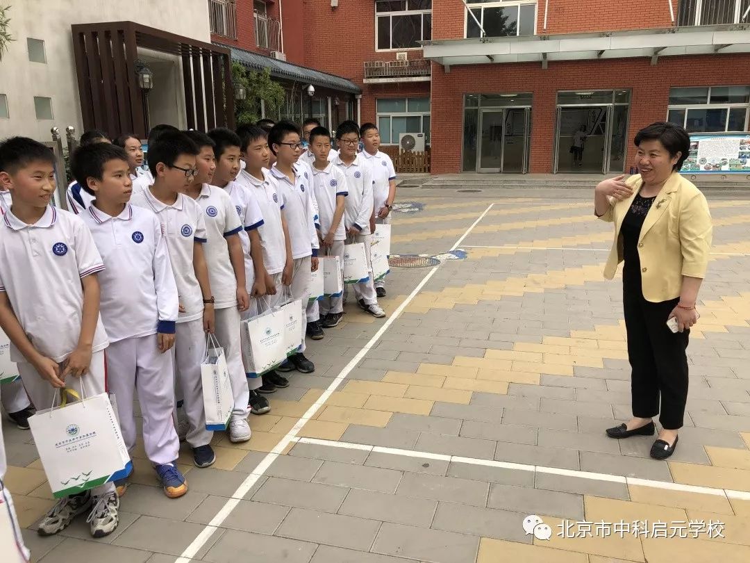 小初衔接学校活动,小初衔接