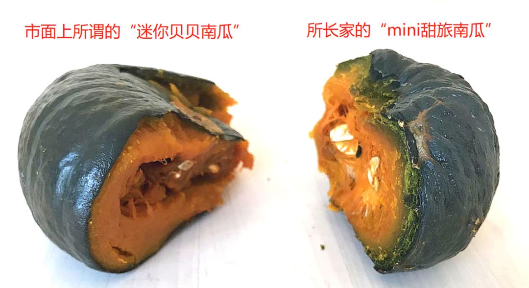 你一定也听说过这种瓜,千万不要轻易尝试!|好物推荐