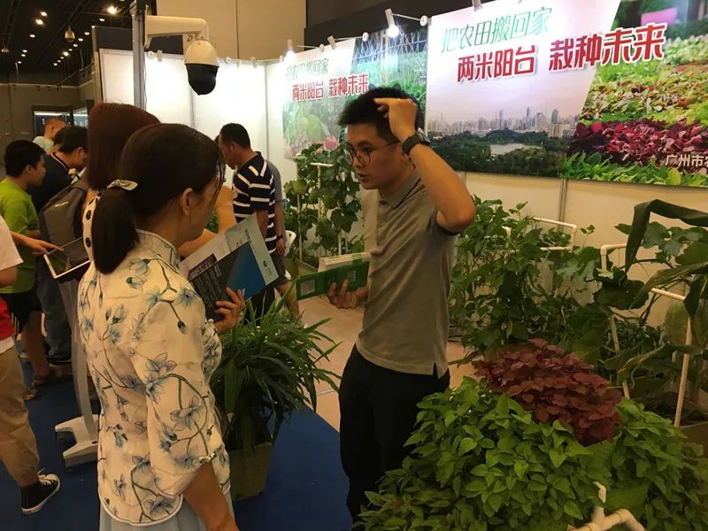 2023年创新科普嘉年华六大展区,广东创新科技职业学院嘉年华