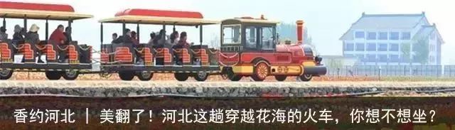 河北玩水的景点推荐,河北旅游玩水的地方推荐