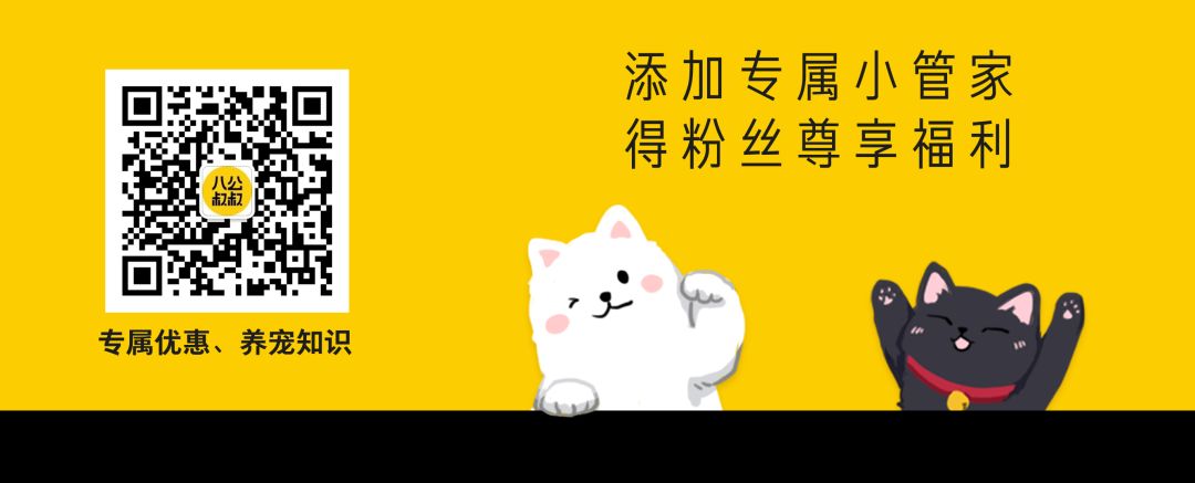 狗狗舌头的秘密居然有7个,汪星人有哪些秘密