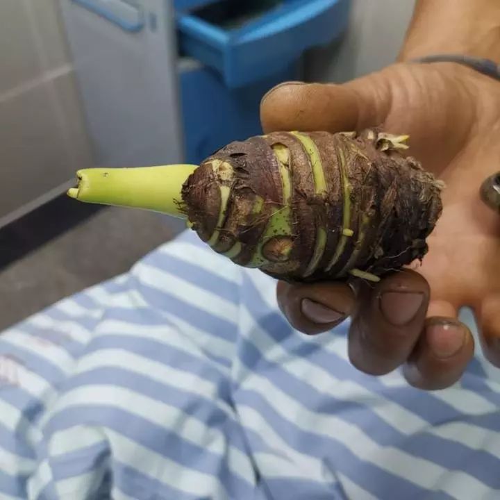 姣掔墿纰颁竴涓嬪氨涓瘨,琚椋熺殑鑷村懡姣掔墿