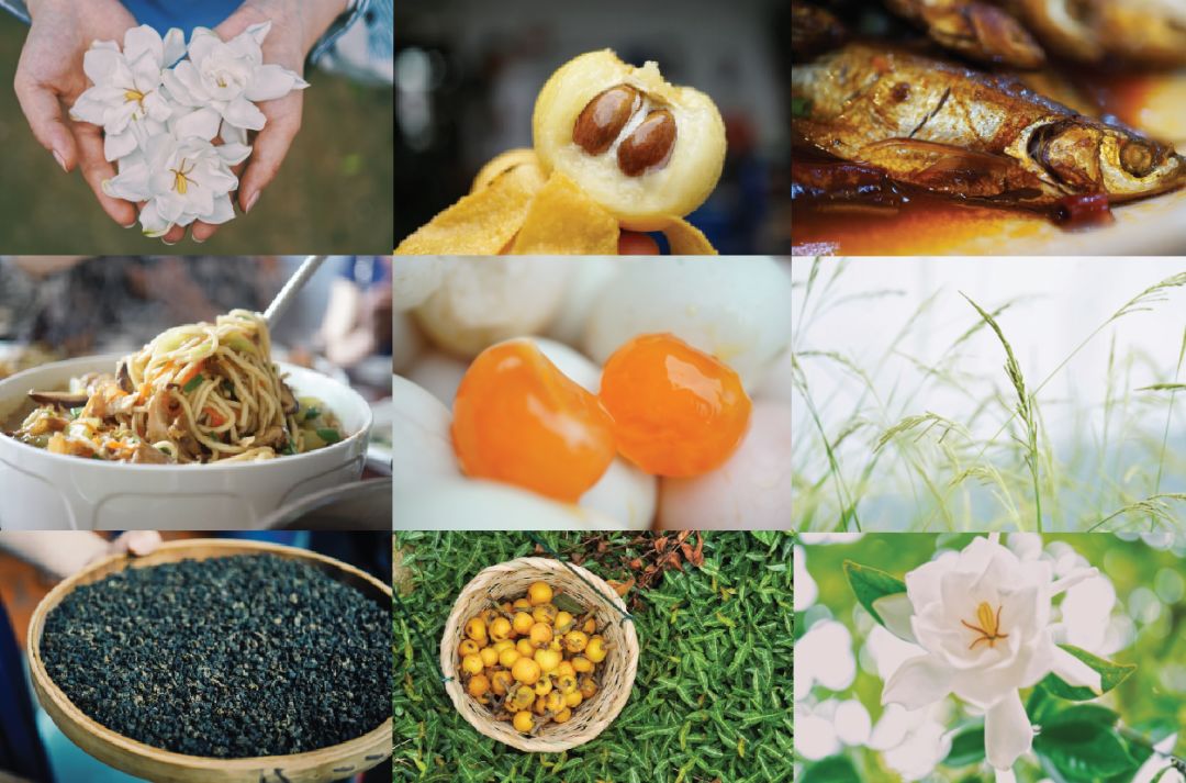 五月种草,五月种草长沙