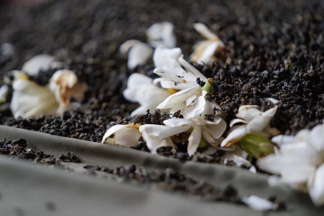 五月种草季,五月种草的护肤品