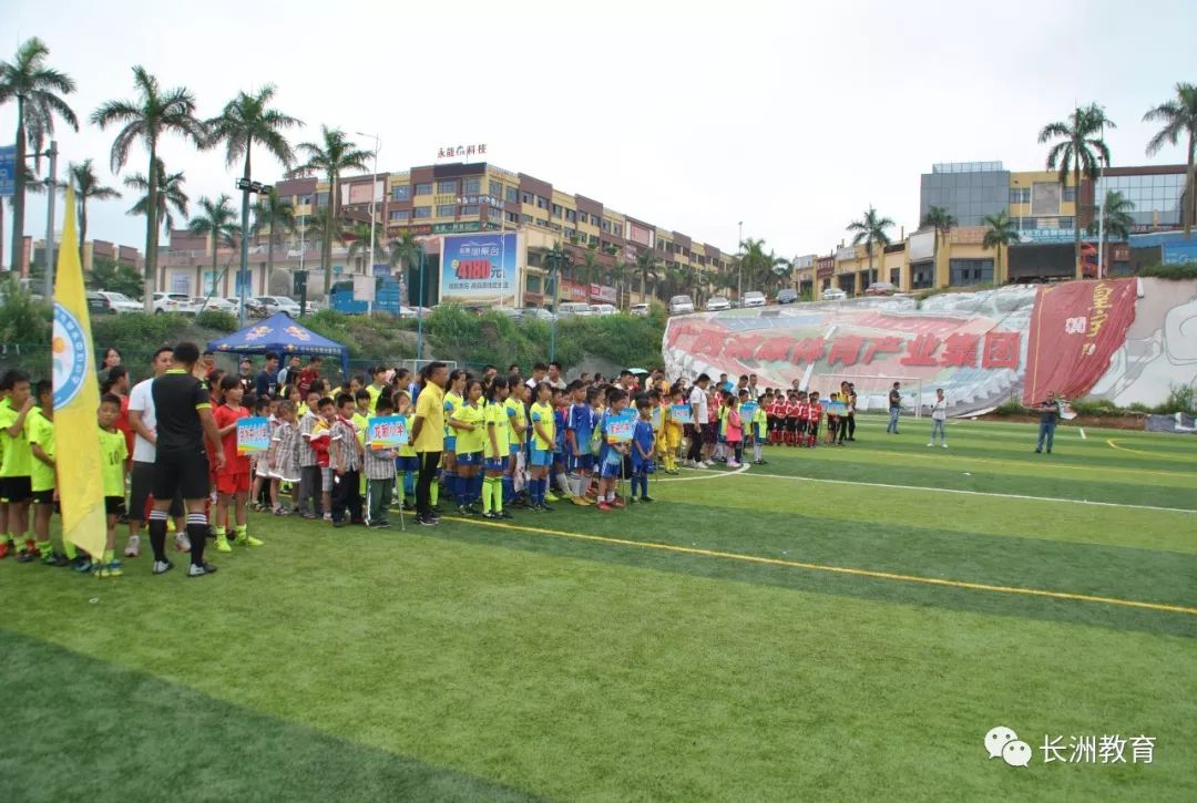 2019雁峰区小学生足球比赛,2020年春季青少年小学足球联赛