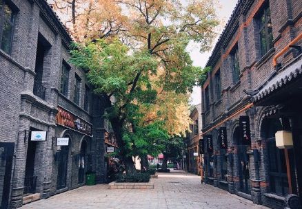 鲜城探店|夏季来临，庄里最火爆的人气夜市约起来！五大美食街一网打尽！人均不到50元吃个遍！