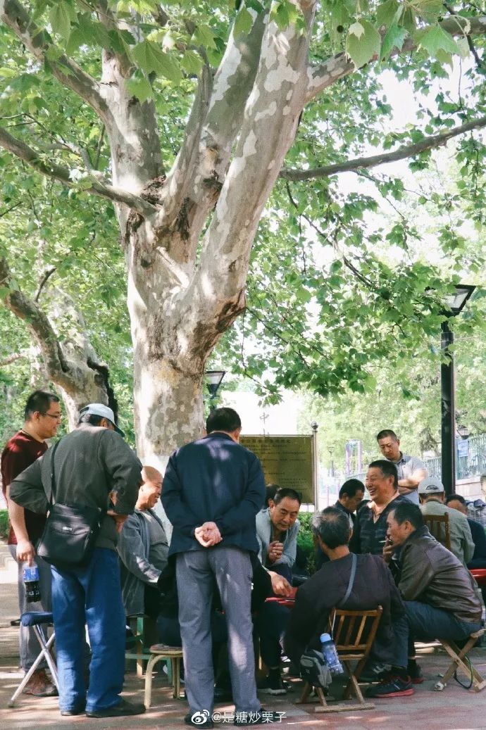 青岛一座浓厚德式风情的海滨城市,青岛一座很美的城市