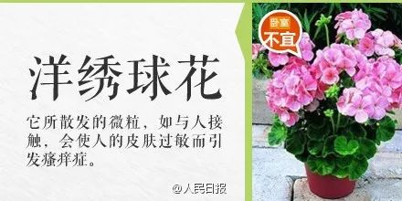 碰一下就会中毒的物质有哪些,被误食的致命毒物