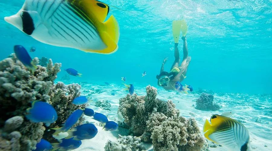 渔家女朋友圈直播,渔家女海鲜直播