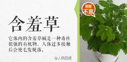 被误食的致命毒物,一碰就中毒怎么处理