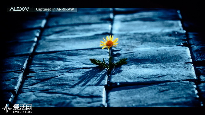 松下th65gz1000c系统,松下th-65dx880c电视怎么样