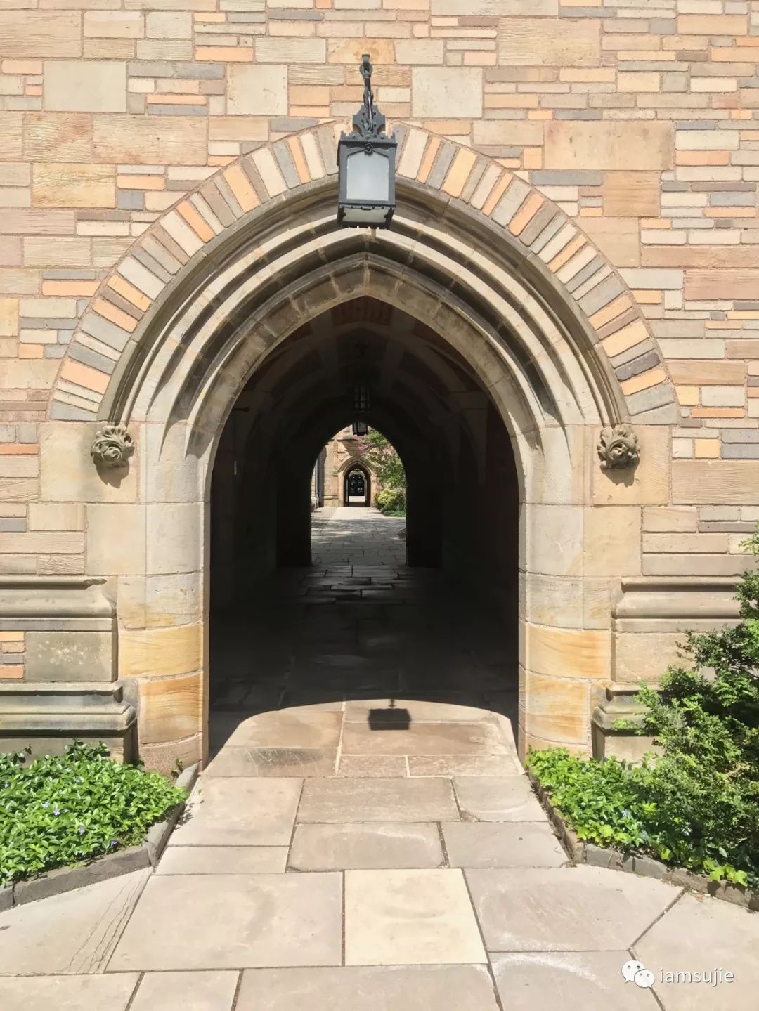 反走崛起之路4：国际大都市——纽约