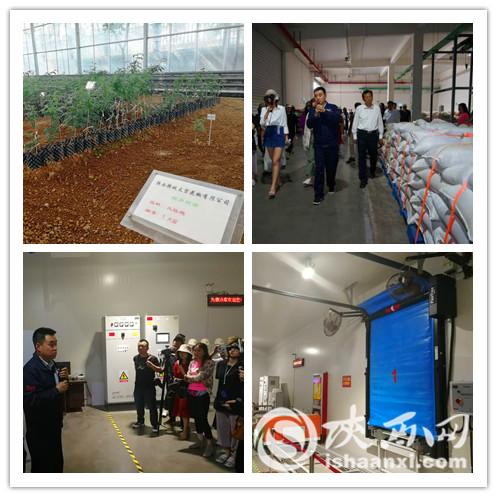 从酸奶和爽肤水看陕西韩城这个花椒“大生意”