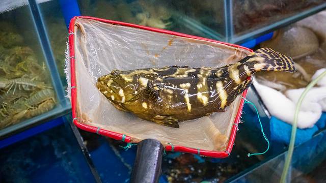 夏威夷之旅蔚蓝色的海,东方夏威夷海洋之心