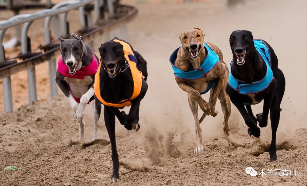 六一童趣优惠,老同学六一快乐童心永驻