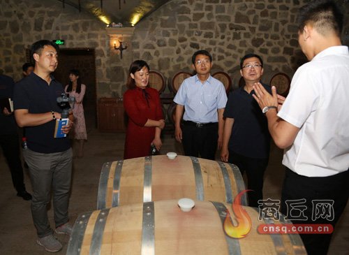 民权县发展,民权制造业项目