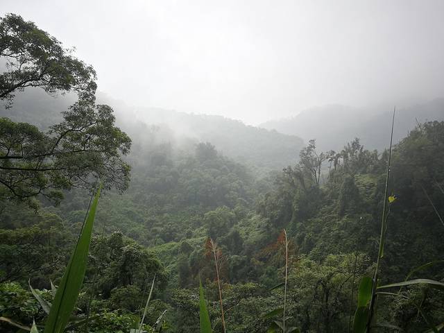 肇庆七星岩鼎湖山自助游,肇庆鼎湖山和七星岩相距多远
