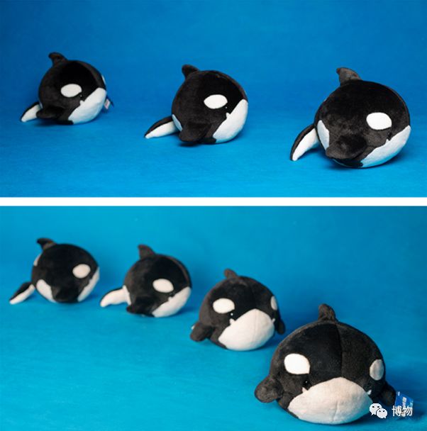 “圆宝”那么可爱,怎么能不盘它呢!