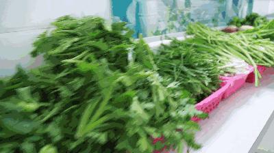 血脂高降脂最快的方法,教你降脂4大手段