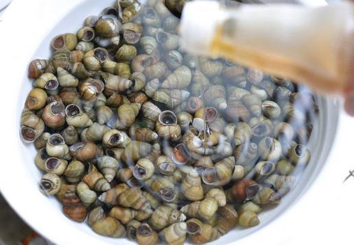 如何让田螺吐沙干净,田螺怎么清洗吐沙干净