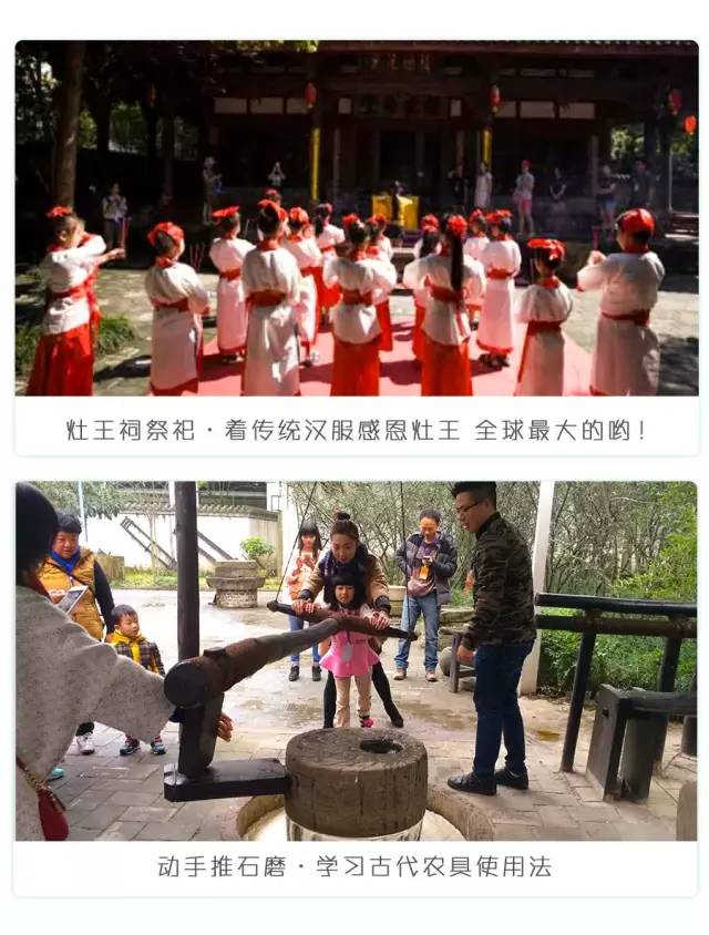 大熊猫铲屎官,都江堰熊猫谷铲屎官报名